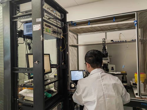 江西科研團隊在焦慮障礙研究領(lǐng)域取得新進展